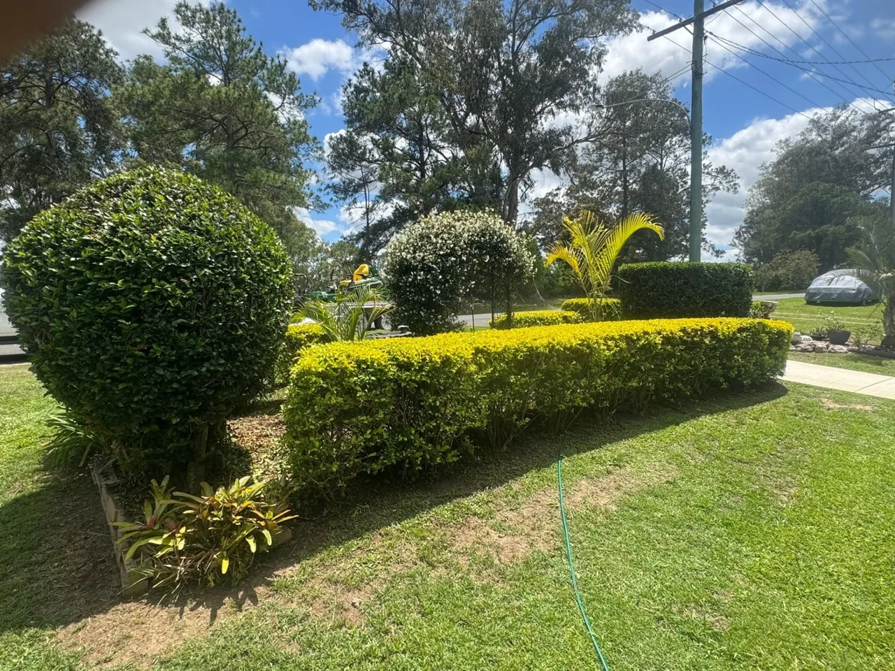 Maintained lawn and clipped hedges shown on Clean Cut Mowing Gympie's website