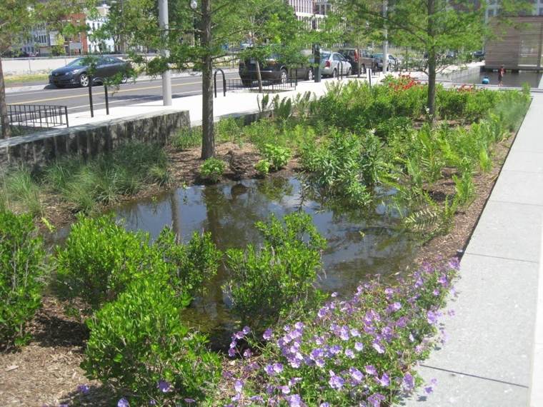 A planted rain garden holding runoff temporarily