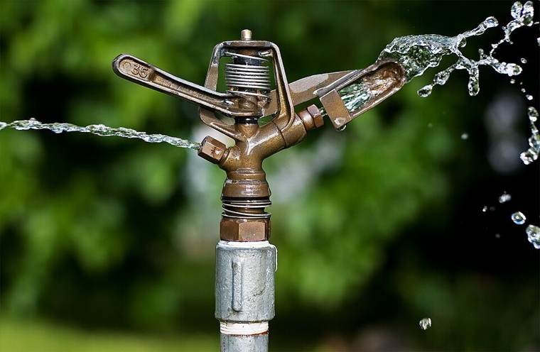 An impact sprinkler: check coverage, schedules and leaking fittings.